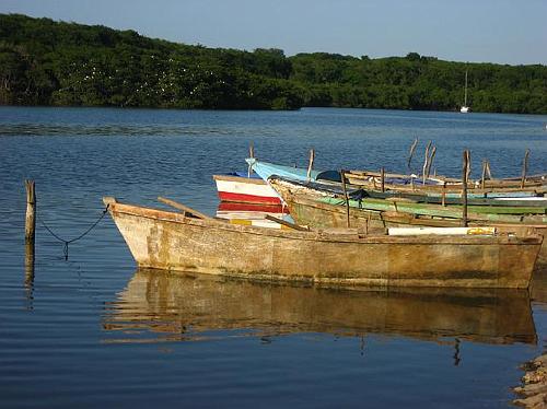 Fishing Skiffs